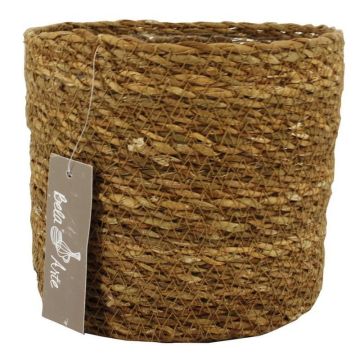 Blumen Korb AMPARO, Seegras, beige, 14cm, Ø16,5cm