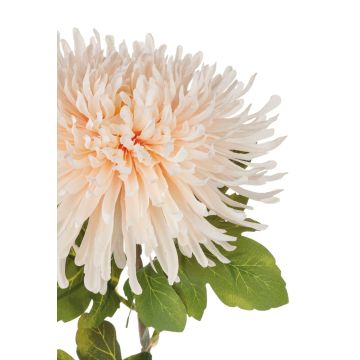 Künstliche Chrysantheme RUNDA, aprikose-creme, 70cm, Ø18cm