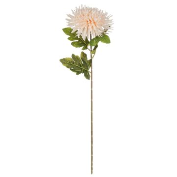 Künstliche Chrysantheme RUNDA, aprikose-creme, 70cm, Ø18cm