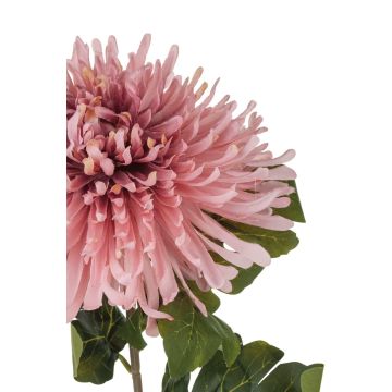 Künstliche Chrysantheme RUNDA, altrosa-pfirsich, 70cm, Ø18cm
