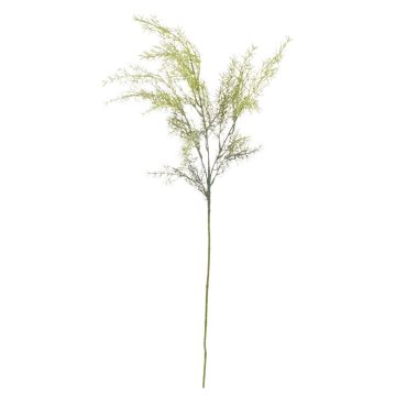 Künstlicher Asparagus sprengeri RUNAL, grün, 80cm