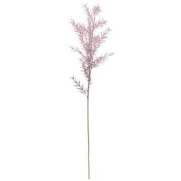 Künstlicher Asparagus falcatus RUNAL, lila, 80cm