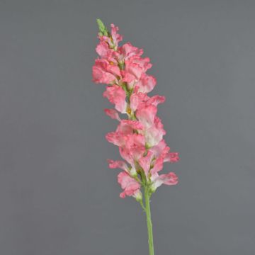 Kunstblume Löwenmäulchen FOLET, rosa-weiß, 95cm, Ø12cm