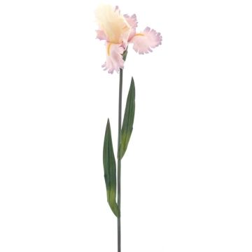 Dekoblume Iris MANSU, rosa-creme, 95cm