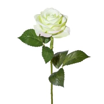 Künstliche Blume Rose ETAVOL, weiß-grün, 55cm