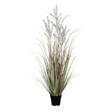 Kunstgras Sand-Reitgras LERVA mit Rispen, grün-rosa, 125cm