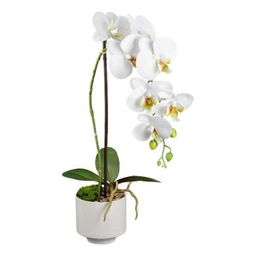 Kunstblume Phalaenopsis Orchidee YENJU im Keramiktopf, Wurzeln, weiß, 55cm