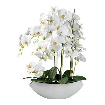 Künstliche Blume Phalaenopsis Orchidee XELAV, Keramikschale, weiß, 65cm