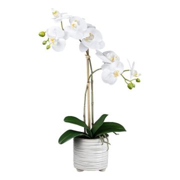 Textil Phalaenopsis Orchidee GROTVER, Keramiktopf, Wurzeln, weiß, 50cm