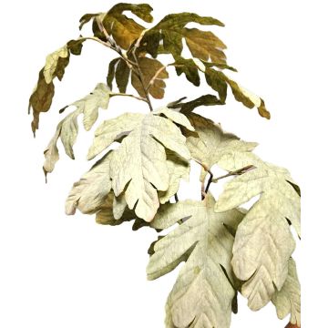 Deko Zweig Ahorn TUNDAKY, grün, 100cm