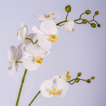 Kunst Phalaenopsis Orchideen Zweig LAHNA, weiß, 95cm