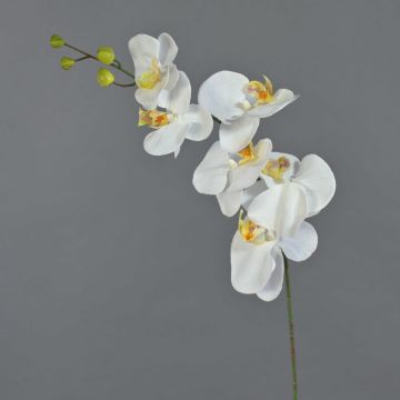 Dekozweig Phalaenopsis Orchidee LANUA, creme, 70cm, Ø8,5-12cm