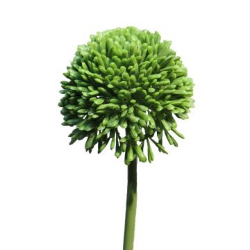 Künstliche Blume Allium BAILIN, grün, 40cm