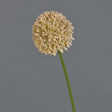 Künstliche Blume Allium BAILIN, rosa-creme, 45cm, Ø6,5cm