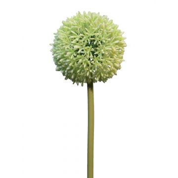 Künstliche Blume Allium BAILIN, creme-grün, 65cm