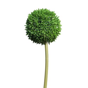 Künstliche Blume Allium BAILIN, grün, 65cm