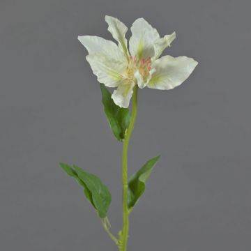 Künstliche Blume Clematis JINJIN, creme, 50cm, Ø15cm Künstliche Blume Clematis JINJIN, creme, 50cm, Ø15cm