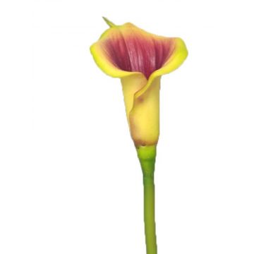Kunstblume Calla SHUNYA, gelb-violett, 65cm