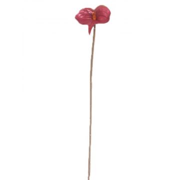 Künstliche Blume Anthurium FEIWU, burgunderrot, 65cm