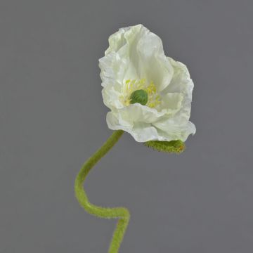 Kunstblume Mohnblume ANKANG, creme, 70cm, Ø9,5cm