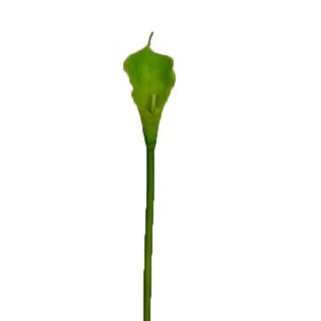 Kunstblume Zantedeschie DOU, grün, 70cm