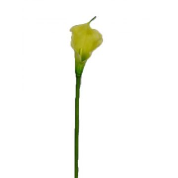 Kunstblume Zantedeschie DOU, gelb-grün, 70cm