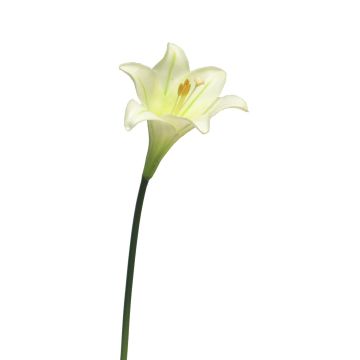 Künstliche Blume Oster-Lilie XINGWANG, creme, 45cm