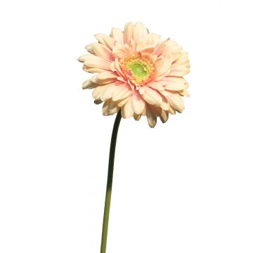 Künstliche Blume Gerbera QIUDONG, pfirsich-rosa, 50cm