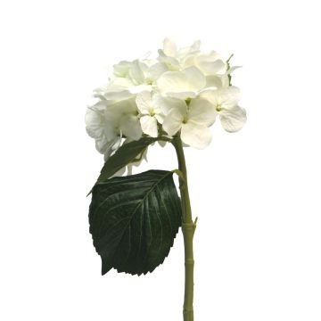 Künstliche Blume Hortensie XINCHENG, weiß, 50cm