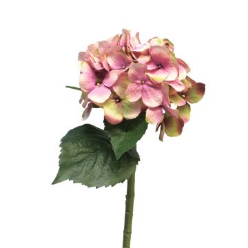 Künstliche Blume Hortensie XINCHENG, rosa-grün, 50cm