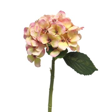 Künstliche Blume Hortensie XINCHENG, rosa-gelb, 50cm