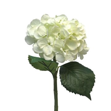Künstliche Blume Hortensie FUXIANG, creme, 50cm