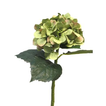 Künstliche Blume Hortensie FUXIANG, grün-rosa, 50cm