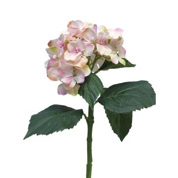 Künstliche Blume Hortensie FUXIANG, rosa-creme, 50cm
