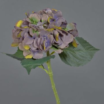 Künstliche Blume Hortensie FUXIANG, altlila-gelb-grün, 50cm, Ø16cm