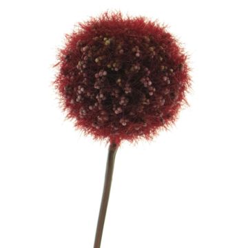 Kunstblume Allium SHIJIA, burgunderrot, 45cm