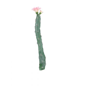 Deko Säulenkaktus ANRAN mit Blüten, Steckstab, rosa, 35cm