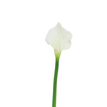 Künstliche Blume Zantedeschie ZHILONG, weiß, 55cm