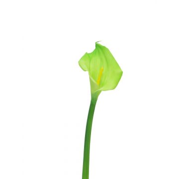 Künstliche Blume Zantedeschie ZHILONG, hellgrün, 55cm