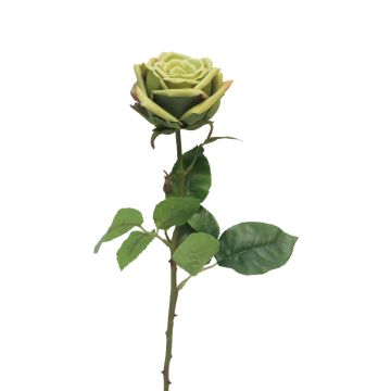 Künstliche Blume Rose JIANHUA, grün, 70cm, Ø11cm