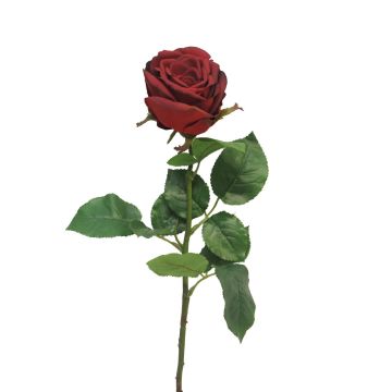 Künstliche Blume Rose JIANHUA, dunkelrot, 70cm, Ø11cm