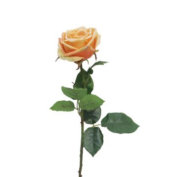 Künstliche Blume Rose JIANHUA, pfirsich, 70cm, Ø11cm