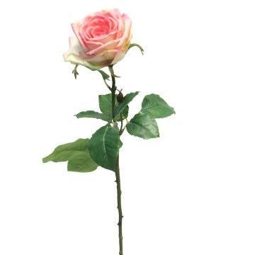 Künstliche Blume Rose JIANHUA, rosa-grün, 70cm, Ø11cm
