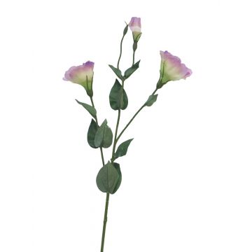Plastikblume Lisianthus MUYAN, rosa-creme, 80cm
