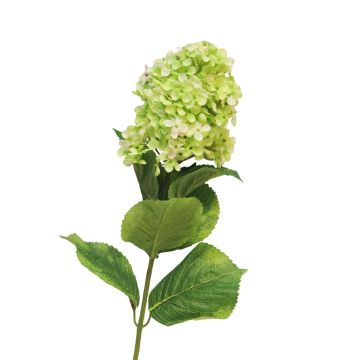 Künstliche Blume Hortensie Paniculata YANGDAN, hellgrün, 85cm