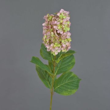 Künstliche Blume Hortensie Paniculata YANGDAN, rosa-grün, 85cm, Ø12cm