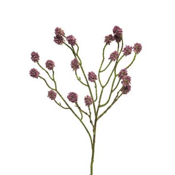 Kunstblumen Zweig Große Sterndolde ZHENGWEI, lila, 70cm