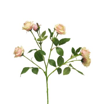 Kunstblumen Zweig Rose SHANZHA, rosa-creme, 70cm