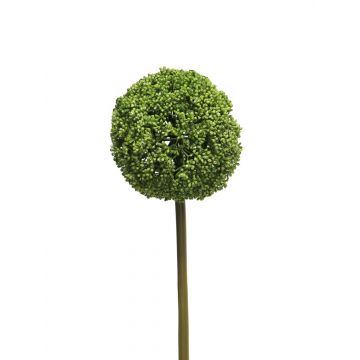 Deko Blume Allium GUILAN, grün, 75cm