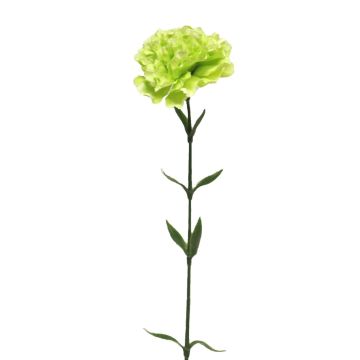 Künstliche Blume Nelke ATONG, hellgrün, 65cm